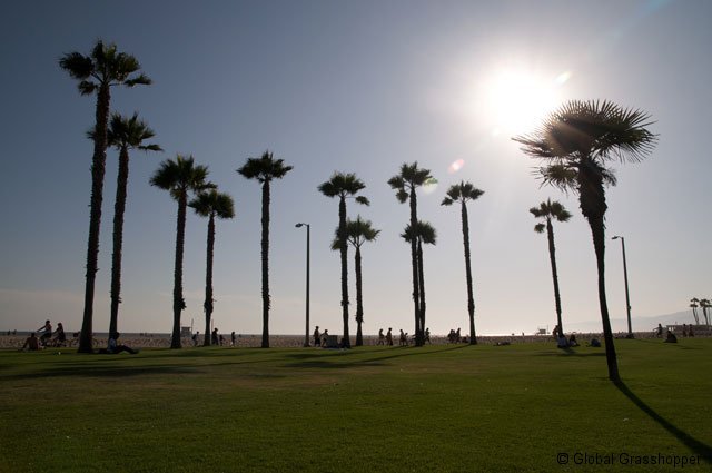 Santa Monica beach, California on GlobalGrasshopper.com