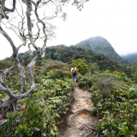 Mount Kinabalu, Borneo on GlobalGrasshopper.com
