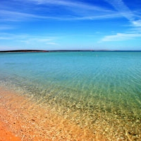 Monkey Mia beach, Western Australia on GlobalGrasshopper.com