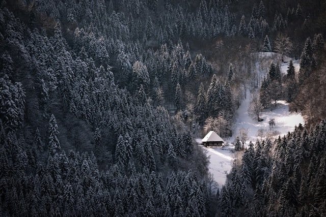 Places to visit in Germany - Black Forest on GlobalGrasshopper.com